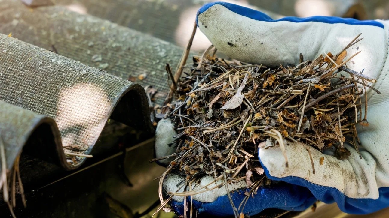 5 Reasons To Clean Your Gutters Before Damage Starts