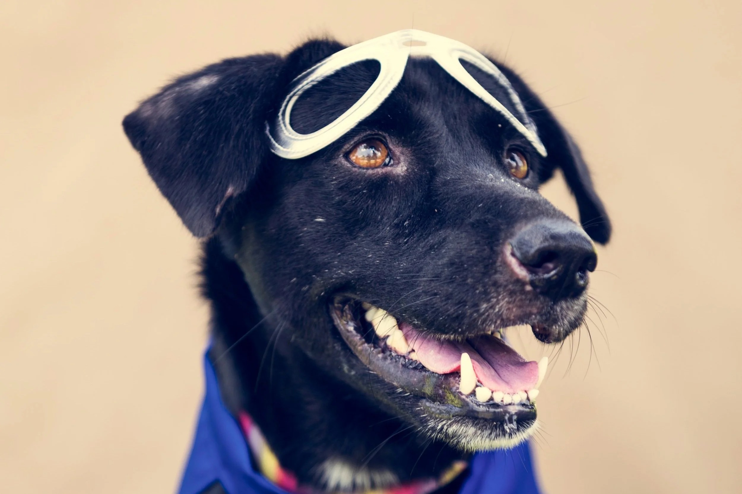Empowering the Underdog: Keathley Claims Consultants