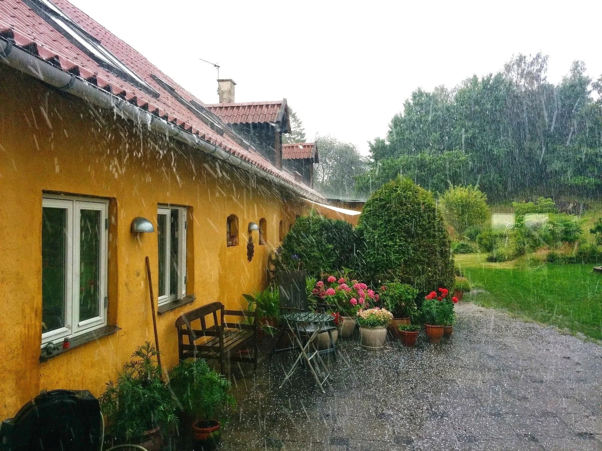 Hail Damage Deep Dive: What Insurance Won’t Tell You