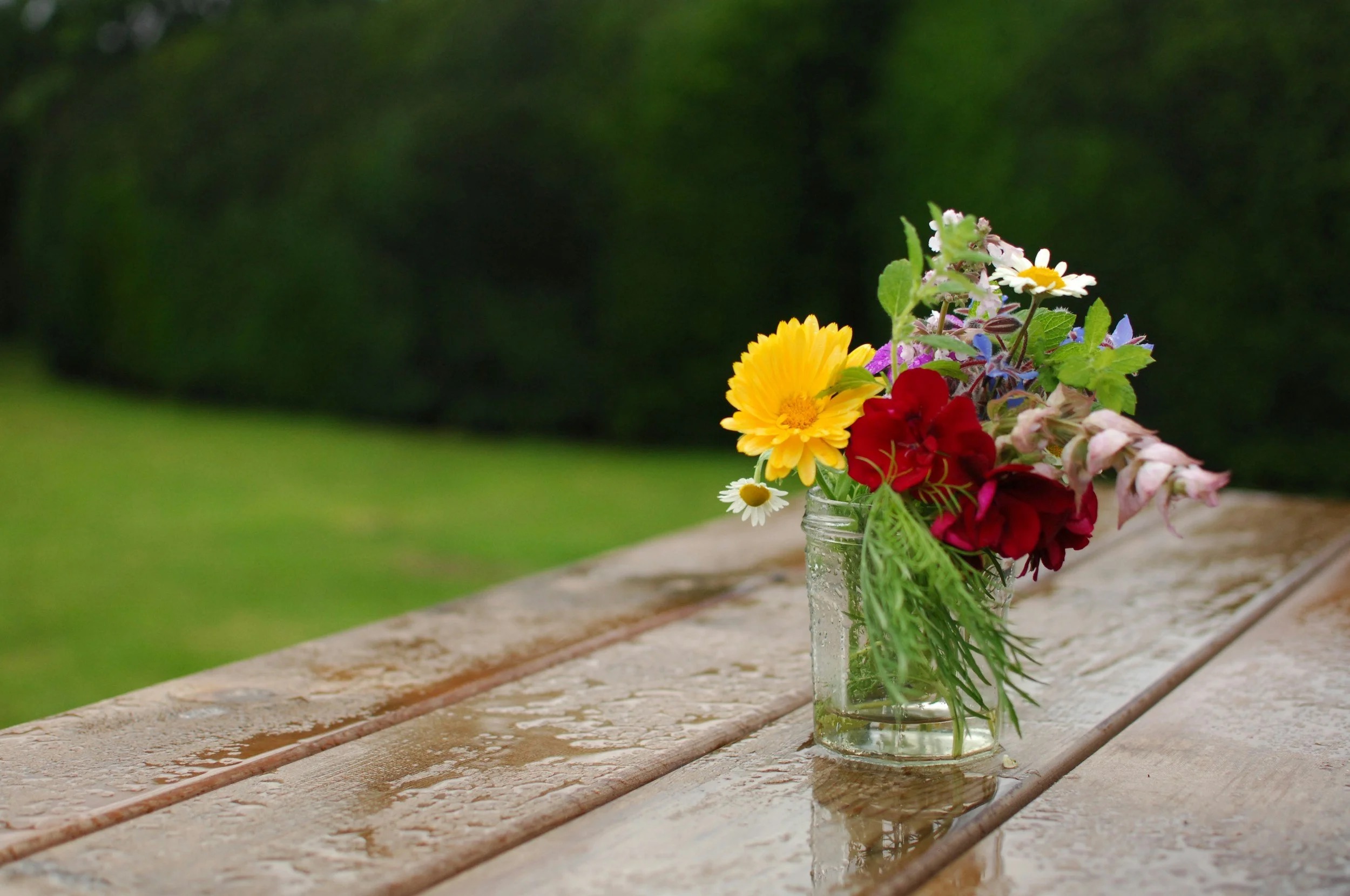 10 Tips for Home Maintenance During a Hot and Rainy Summer