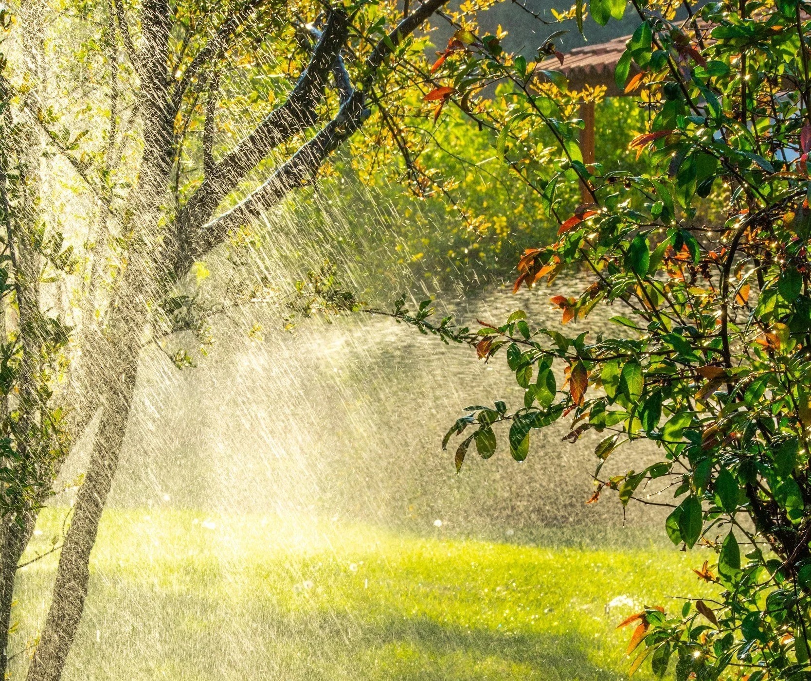 10 Tips for Home Maintenance During a Hot and Rainy Summer